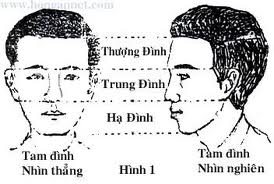 Tổng quan về tướng mặt